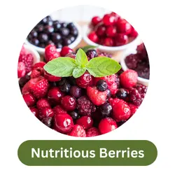 Nutritious Berries